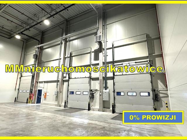 Komercyjne do wynajęcia w Katowice, Śląskie