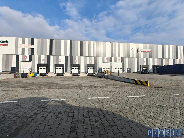 Komercyjne do wynajęcia w Katowice, Śląskie