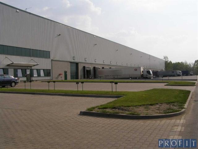Komercyjne do wynajęcia w Katowice