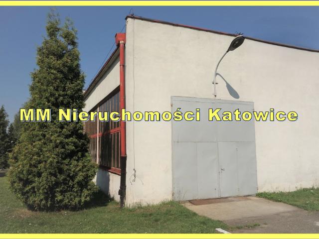 Komercyjne do wynajęcia w Katowice, Śląskie