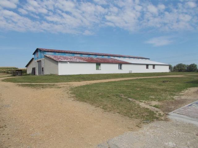 Komercyjne do wynajęcia w Katowice, Śląskie