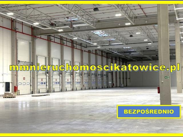 Komercyjne do wynajęcia w Katowice