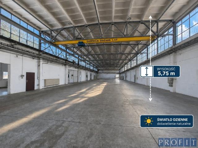 Komercyjne do wynajęcia w Katowice, Śląskie