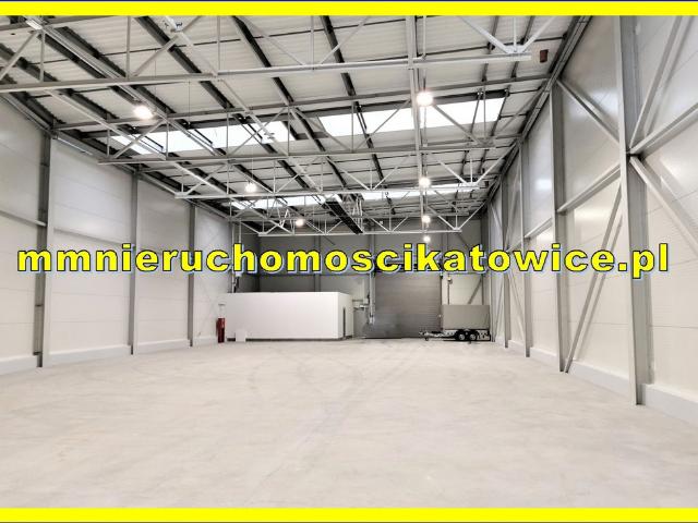 Komercyjne do wynajęcia w Katowice, Śląskie