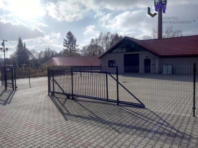 Komercyjne do wynajęcia w Katowice, Śląskie