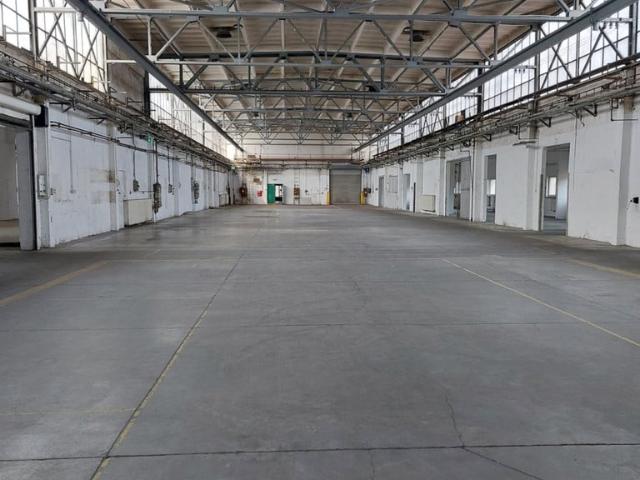 Komercyjne do wynajęcia w Katowice, Śląskie