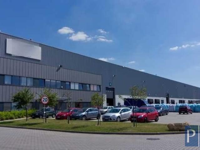 Komercyjne do wynajęcia w Katowice, Śląskie