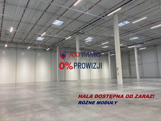 Komercyjne do wynajęcia w Kielce