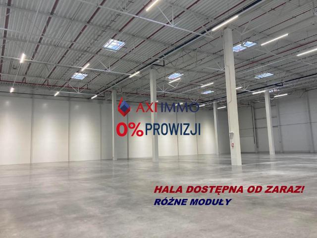 Komercyjne do wynajęcia w Kielce