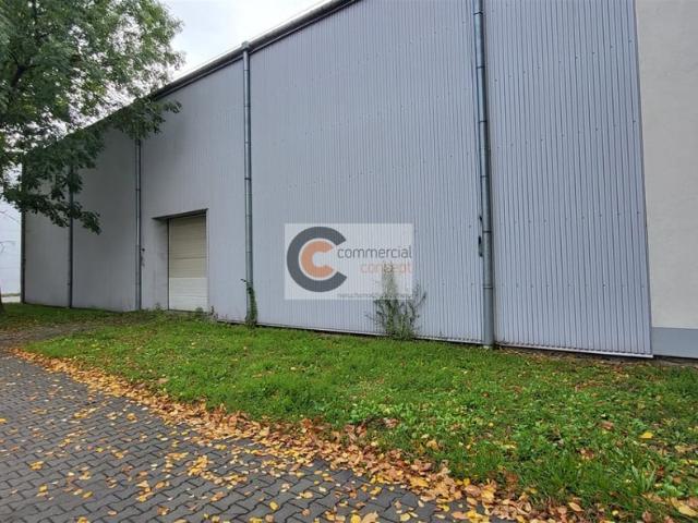 Komercyjne do wynajęcia w Czyżyny, Kraków