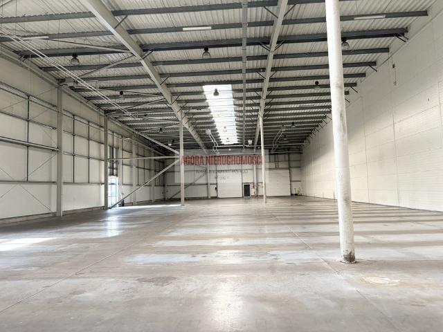 Komercyjne do wynajęcia w Podgórze, Kraków