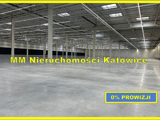 Komercyjne do wynajęcia w Mysłowice, Śląskie