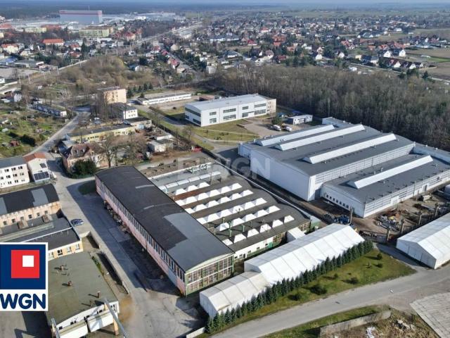 Komercyjne do wynajęcia w Wronki, Wielkopolskie