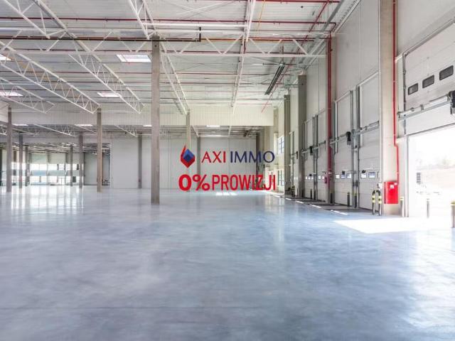 Komercyjne do wynajęcia w Poznań, Wielkopolskie