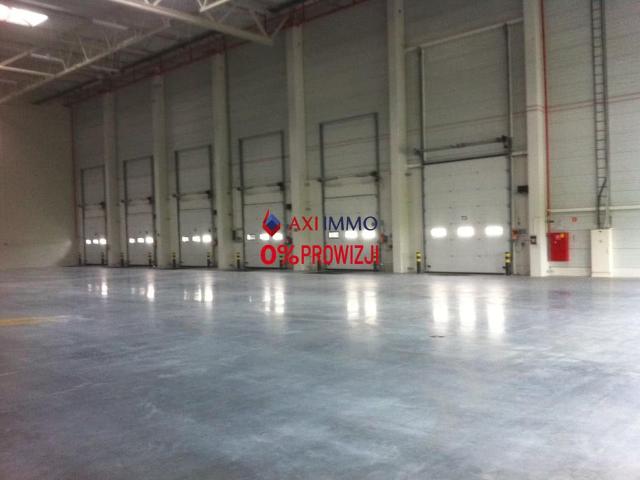 Komercyjne do wynajęcia w Janikowo, Wielkopolskie