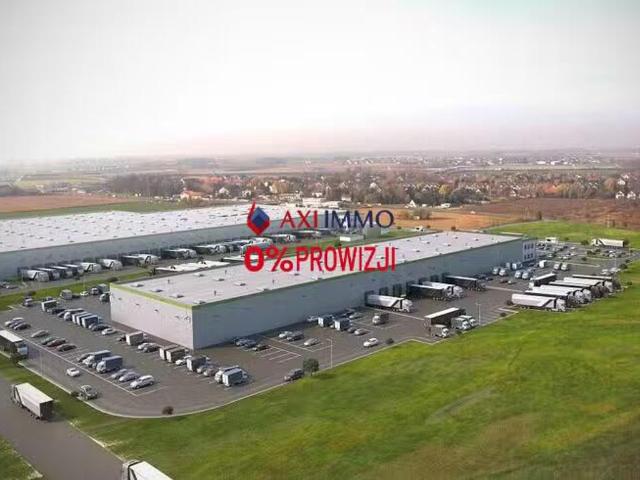 Komercyjne do wynajęcia w Poznań, Wielkopolskie