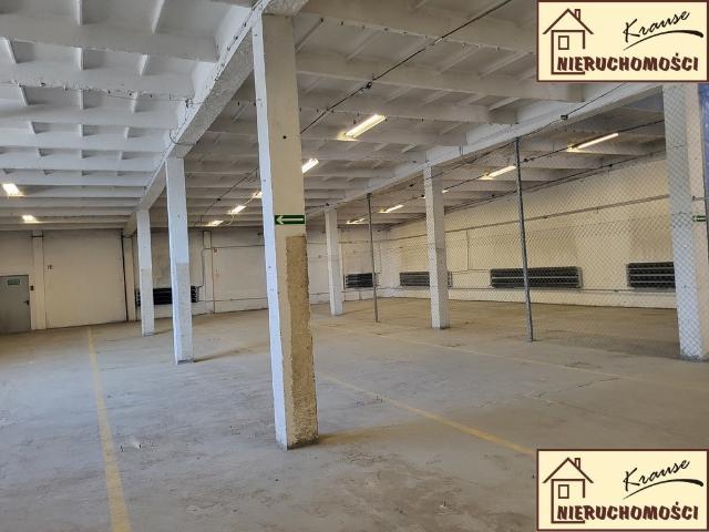 Komercyjne do wynajęcia w Poznań, Wielkopolskie