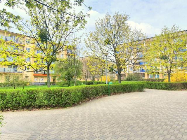 Komercyjne do wynajęcia w Poznań, Wielkopolskie