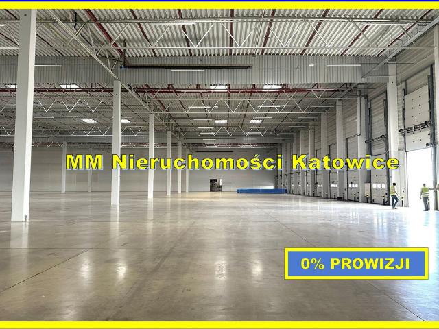 Komercyjne do wynajęcia w Ruda Śląska, Śląskie
