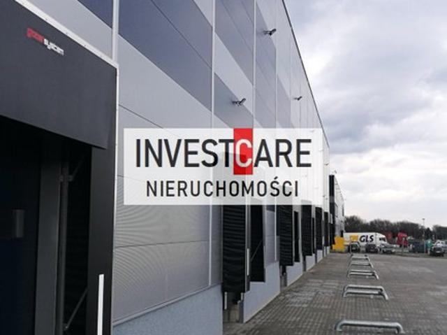 Komercyjne do wynajęcia w Siemianowice Śląskie