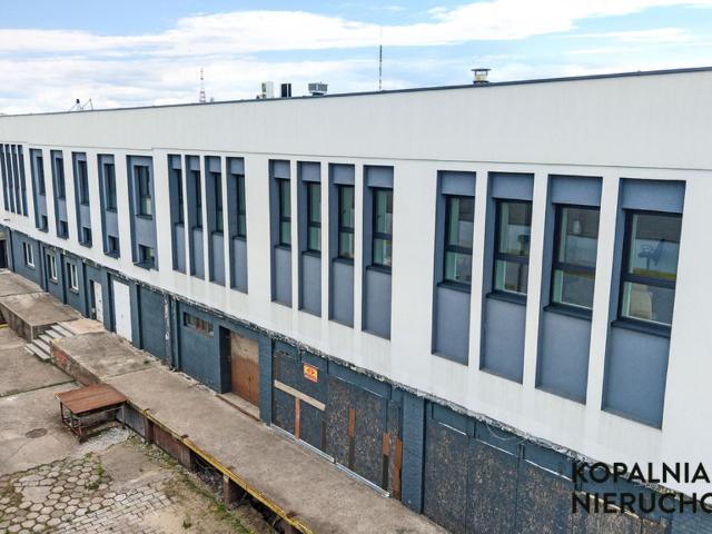 Komercyjne do wynajęcia w Sosnowiec, Śląskie