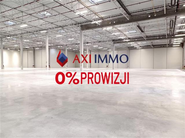 Komercyjne do wynajęcia w Szczecin