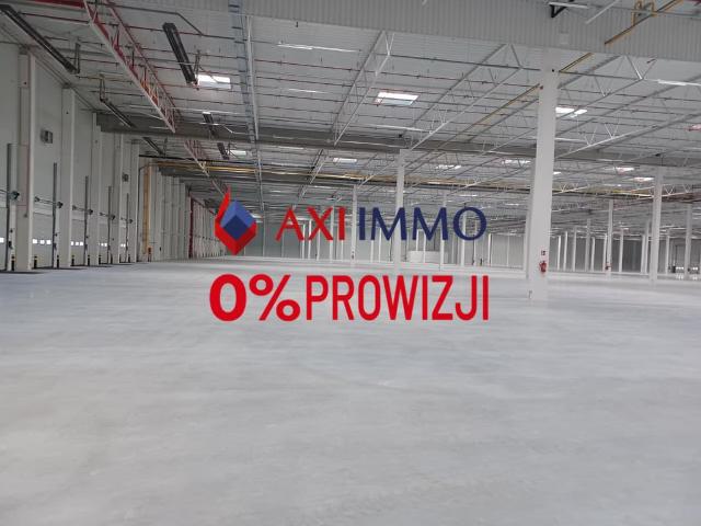 Komercyjne do wynajęcia w Szczecin, Zachodniopomorskie