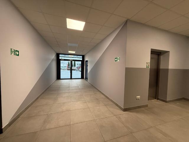 Komercyjne do wynajęcia w Tarnów, Małopolskie