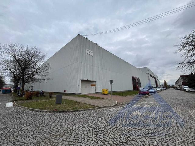 Komercyjne do wynajęcia w Nowa Praga, Warszawa