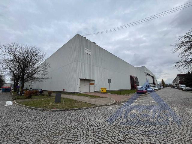 Komercyjne do wynajęcia w Nowa Praga, Warszawa