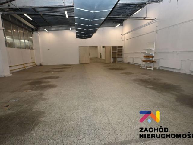 Komercyjne do wynajęcia w Stare Miasto, Zielona Góra