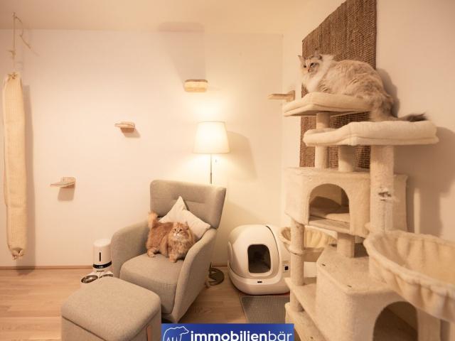 Wohnung kaufen in Bad Schallerbach, Oberösterreich