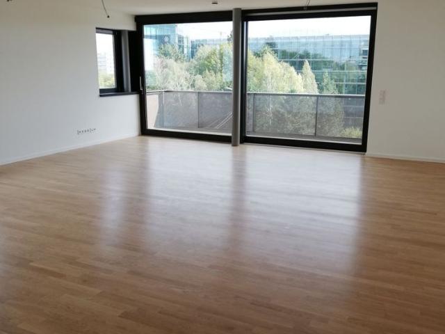 Apartment mieten in Johannstadt, Dresden