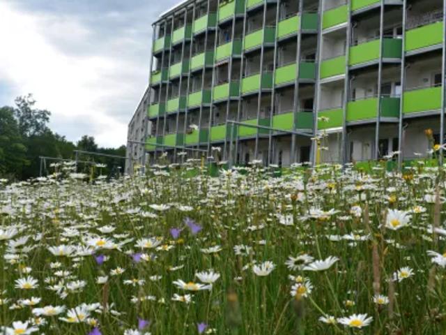 Apartment mieten in Jugelsburg, Adorf