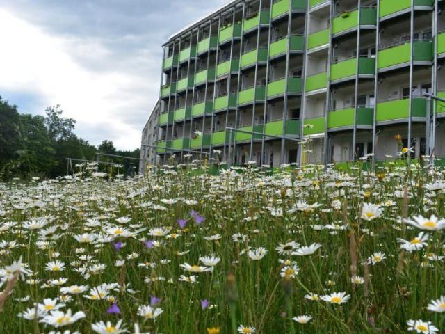 Apartment mieten in Jugelsburg, Adorf
