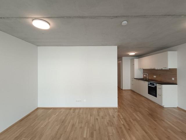 Wohnung mieten in Altach, Vorarlberg