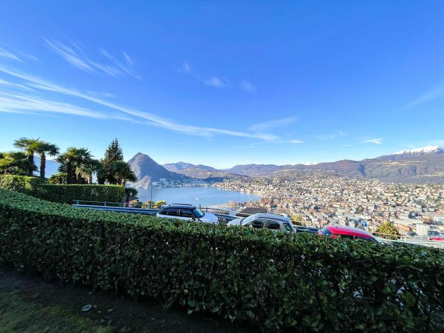 Wohnung kaufen in Aldesago, Tessin