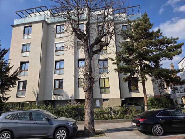 Apartment kaufen in Baden, Niederösterreich