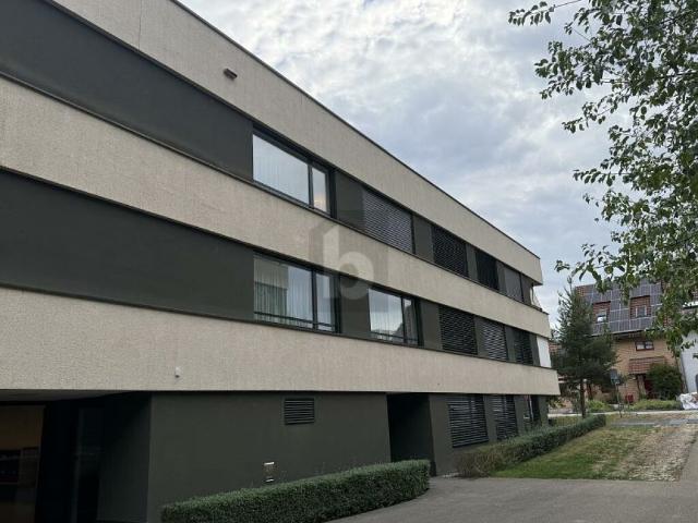 Grundstück mieten in Reinach (BL), Basel-Landschaft