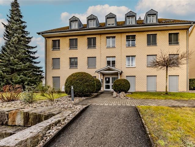 Wohnung kaufen in Hägendorf, Solothurn