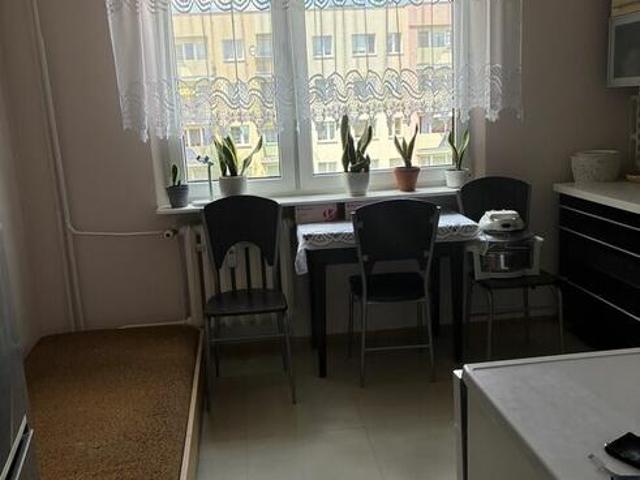 Mieszkanie do wynajęcia w Ostrowiec Świętokrzyski, Świętokrzyskie