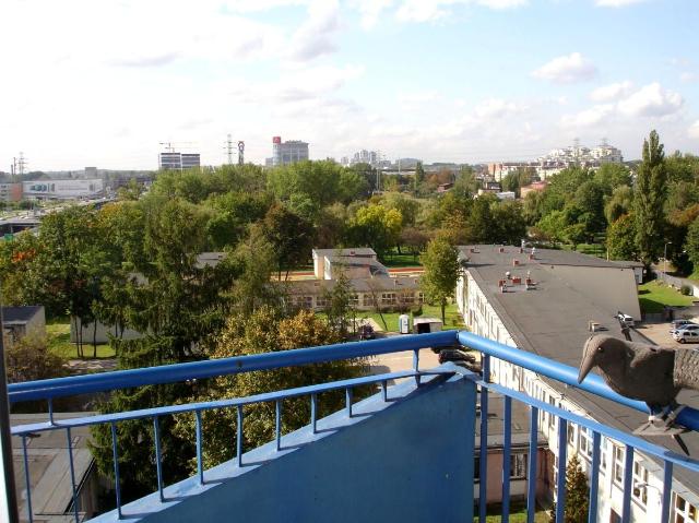 Mieszkanie do wynajęcia w Katowice, Śląskie