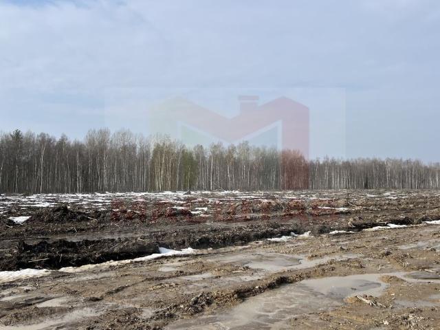 Недвижимость продажа в Ленинградская область