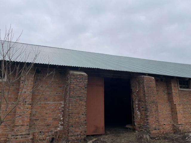 Недвижимость аренда в Кострово, муниципальный округ Истра