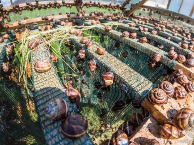 Коммерческая недвижимость продажа в Львовская