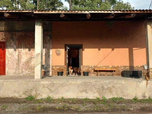 Коммерческая недвижимость продажа в Хусте, Закарпатской области