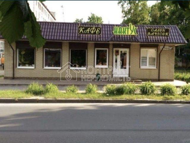 Коммерческая недвижимость аренда в Орджоникидзевский, Хорошево