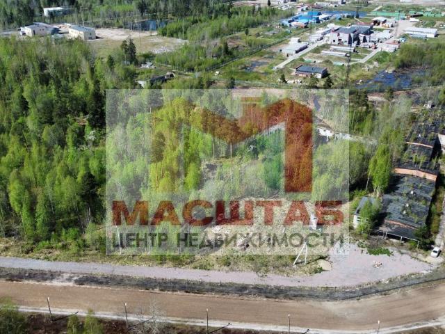 Недвижимость продажа в Им Морозова Массив, Ленинградская область