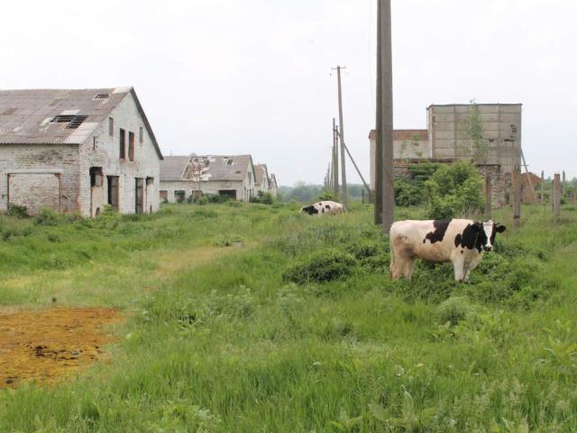 Коммерческая недвижимость продажа в Ходорків, Житомирський район
