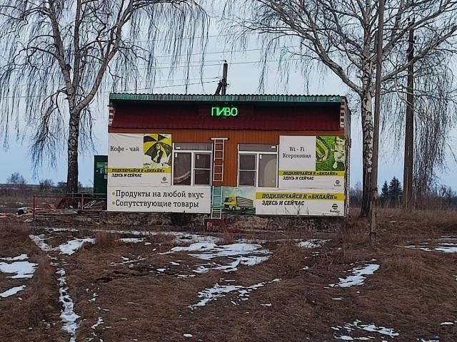 Недвижимость продажа в Воронежская область